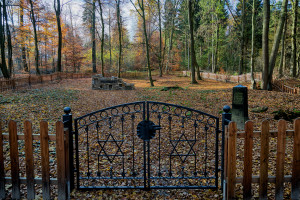 Ewige Ruhe: Der Alte Jüdische Friedhof am Ende der Deisterstraße ist wieder sichtbar. foto:kasse