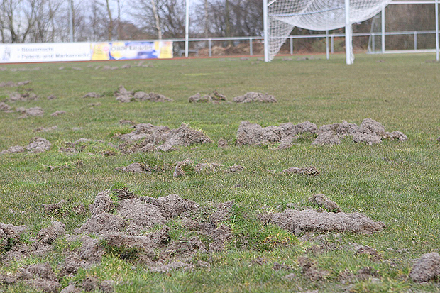 Dafür gibt es Stadionverbot: Der A-Platz der Kirchdorfer Sportanlage ist unbespielbar.