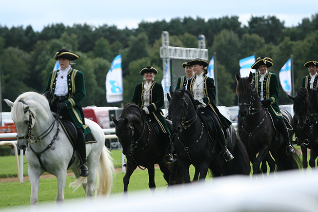 Schwarze Perlen des Nordens: Im Rahmenprogramm werden auch edle Friesen auf dem Geläuf präsentiert. Foto: Bratke