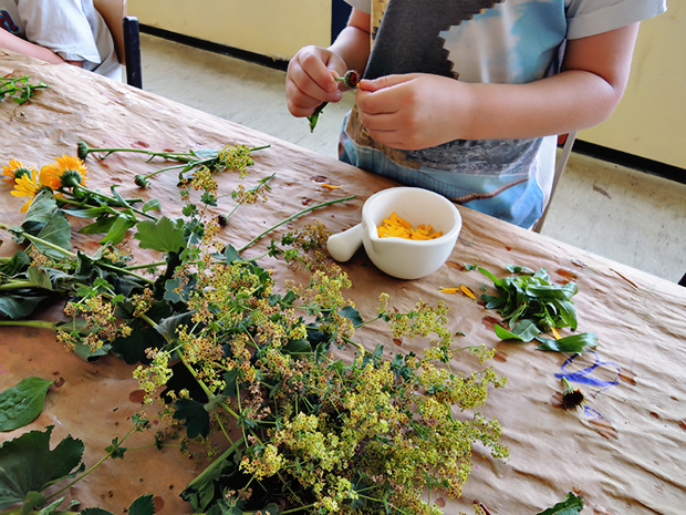 Selbstgemacht: In der Kunstschule Noa Noe lernen die Kursteilnehmer die Herstellung von Farben aus Naturmaterialien.