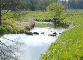 Else Hochwasserschutz