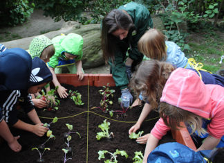 Hochbeet-Kindergarten-Landringhausen