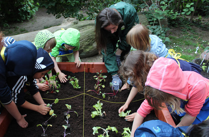 Hochbeet-Kindergarten-Landringhausen Hochbeet-Kindergarten-Landringhausen