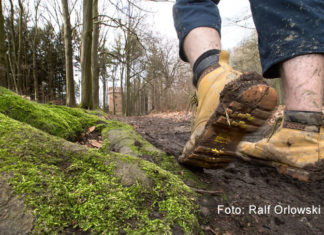 Die Region Hannover sieht aktuell keinen Anlass zu Sperrungen von Naherholungsgebieten in der freien Natur. Die Polizei und die Ordnungsämter werden aber am Wochenende vermehrt kontrollieren. Foto: Ralf Orlowski
