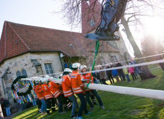 30.April 2017: Mit vereinten Kräften (und maschineller Unterstützung) wird der „neue“ Maibaum zum ersten Mal aufgerichtet. Foto: Feuerwehr Hohenbostel