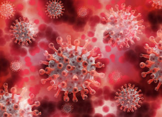 Coronavirus