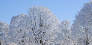 Der Winter kann kommen