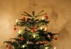 Weihnachtsbaum