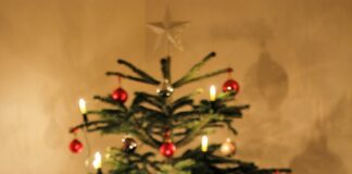 Weihnachtsbaum