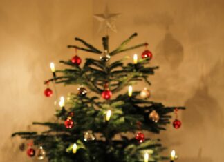 Weihnachtsbaum