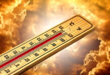 Klimaschutz gestrichen, Hitze bleibt: AWO fordert sozialen Hitzegipfel