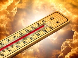 Klimaschutz gestrichen, Hitze bleibt: AWO fordert sozialen Hitzegipfel
