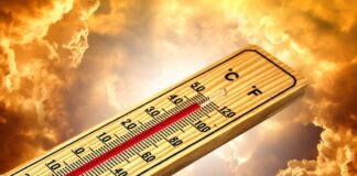 Klimaschutz gestrichen, Hitze bleibt: AWO fordert sozialen Hitzegipfel