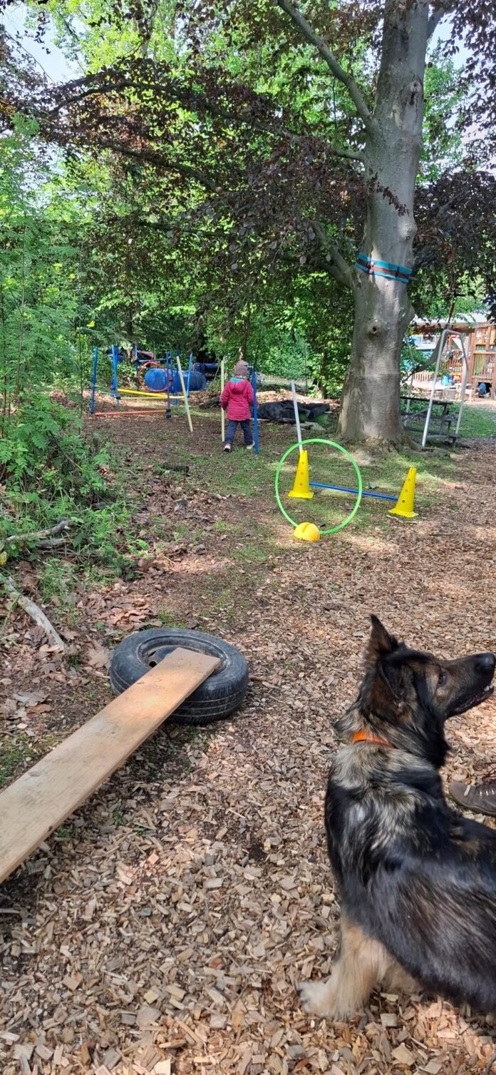 Waldkindergarten_Hundebesuch_1