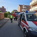 Hecke in Egestorf brennt