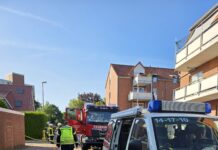 Hecke in Egestorf brennt