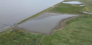 Küstenschutz in Ostfriesland schreitet voran: Große Klimadeicherhöhung in der Krummhörn fertiggestellt